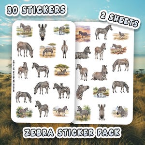 Puede incluir: Un paquete de pegatinas con 30 pegatinas en 2 hojas. Las pegatinas muestran ilustraciones de acuarela de cebras en varias poses y entornos. El texto "ZEBRA STICKER PACK" está en la parte inferior, con "30 STICKERS" y "2 SHEETS" en la parte superior.