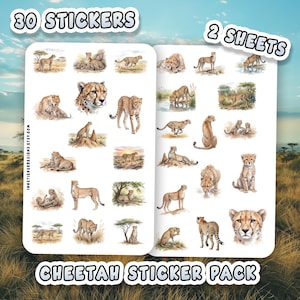 Può includere: Un pacchetto di adesivi con 30 adesivi di ghepardi su due fogli. Gli adesivi raffigurano ghepardi in varie pose e ambientazioni, come correre, riposare e con i loro cuccioli. Il testo "30 Stickers", "2 Sheets" e "Cheetah Sticker Pack" è visibile.