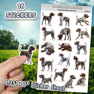 Pegatinas de perro Braco Alemán de Pelo Duro para diarios, álbumes de recortes y agendas. Pegatinas ilustradas brillantes y mate para d60.