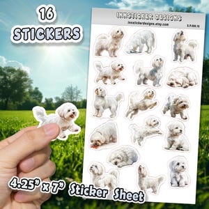 Coton de Tuléar hondenstickers voor tijdschriften, plakboeken, planners, glanzend, mat geïllustreerde hondenstickers voor hobby's, d90