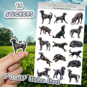 Pegatinas de perro retriever de pelo rizado para diarios, álbumes de recortes y planificadores. Pegatinas brillantes y mate con ilustraciones de perros, D160