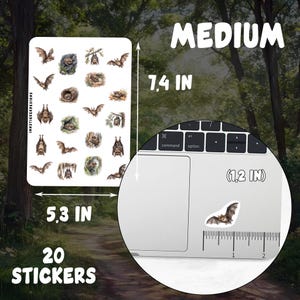 Medium
