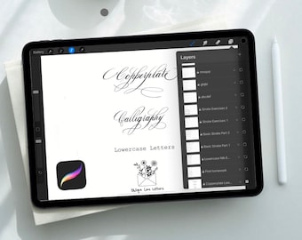 Copperplate Calligraphy Procreate Brush: Sumi Ink Effect (Digital Download)