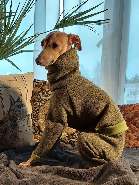 Italian Greyhounds Shirts Jackets Overalls Pajamas Winter Etsy