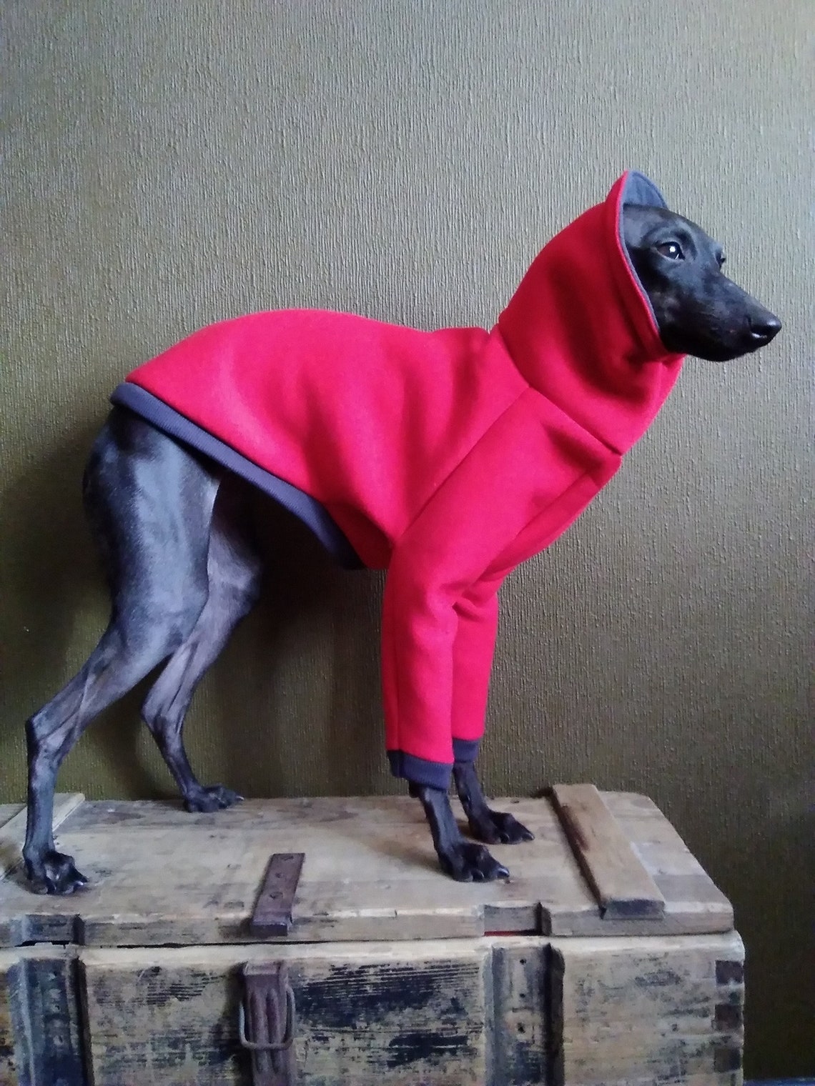 Italian Greyhound dog jacket jumper sweater S1234 Etsy