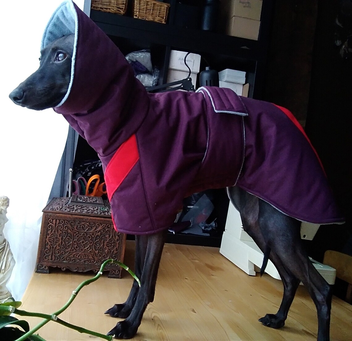 Italian Greyhound raincoat Winter coat dog jacket S 3 Etsy