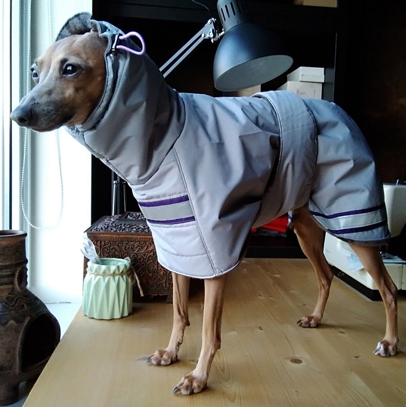 Italian Greyhound Raincoat Winter Coat Dog Jacket Etsy