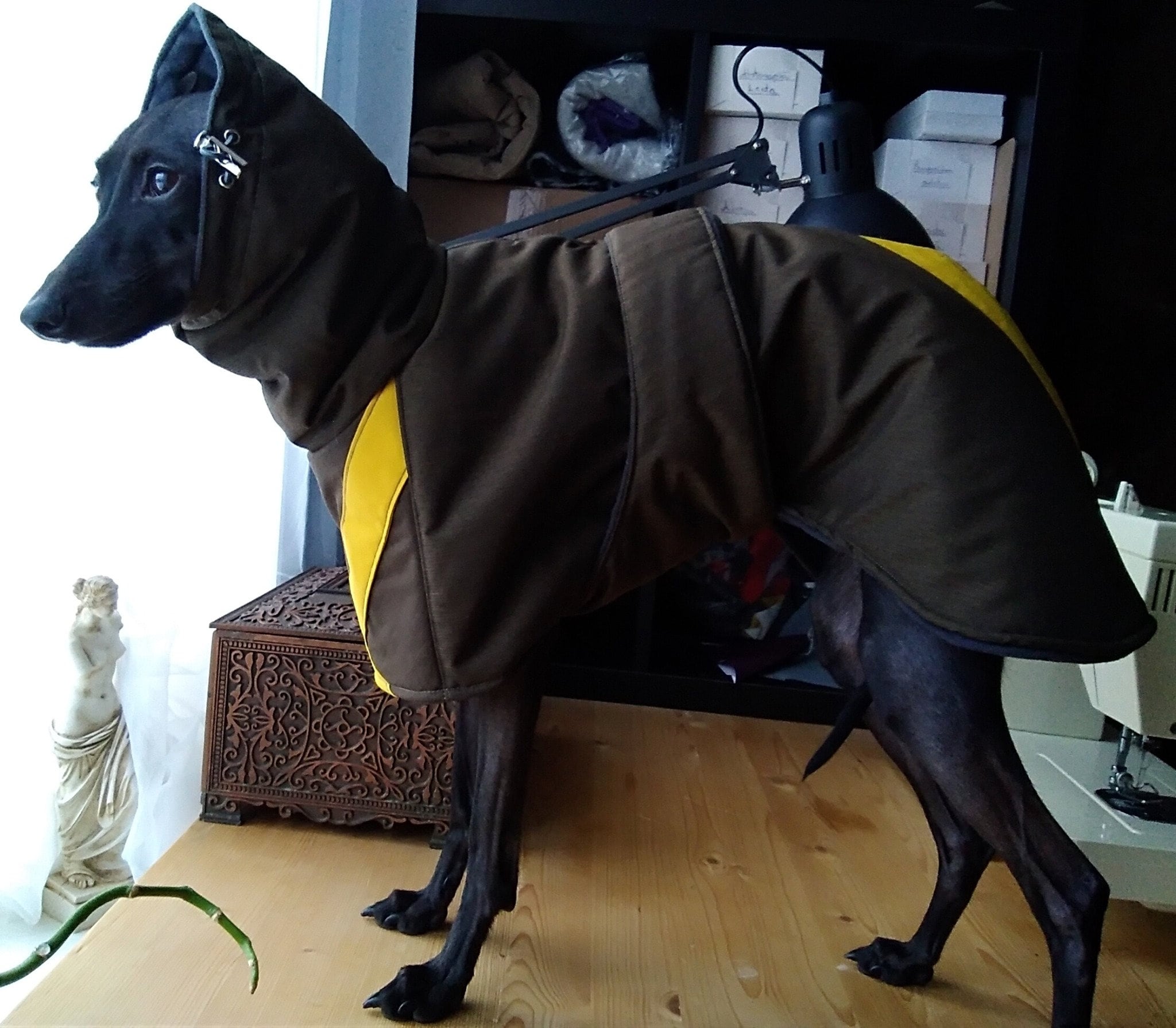 Italian Greyhound raincoat Winter coat dog jacket S 3 Etsy