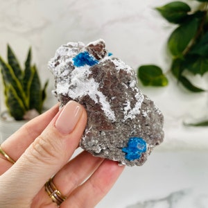 Rare Cavansite Specimen/Genuine Crystal/Calming Healing Crystal/Raw Celestine/Ethically Sourced Crytals/Crystal Specimens/Crystal Home Decor