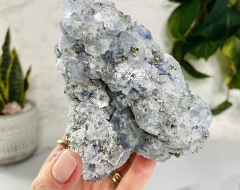 Blue Cubic Fluorite with Pyrite Crystal Specimen