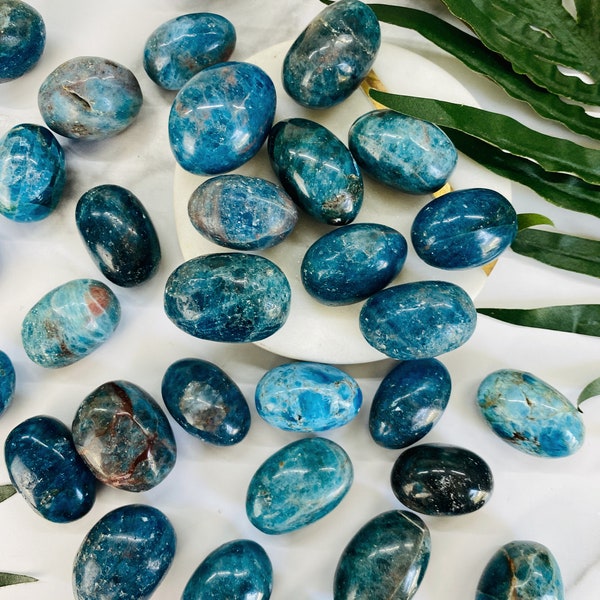 Blue Apatite Tumbled Stones//Genuine Blue Apatite//Crystal for Healing//Worry Stone//Crystal Tumbles//Throat Chakra Stones