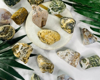 XL 8th Vein Ocean Jasper Tumbled Stones