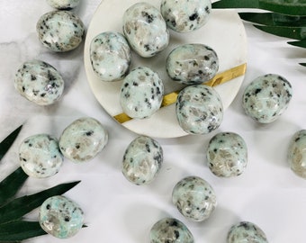Large Kiwi Jasper Tumbled Stones
