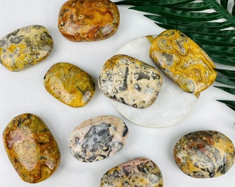 Crazy Lace Agate Palm Stones