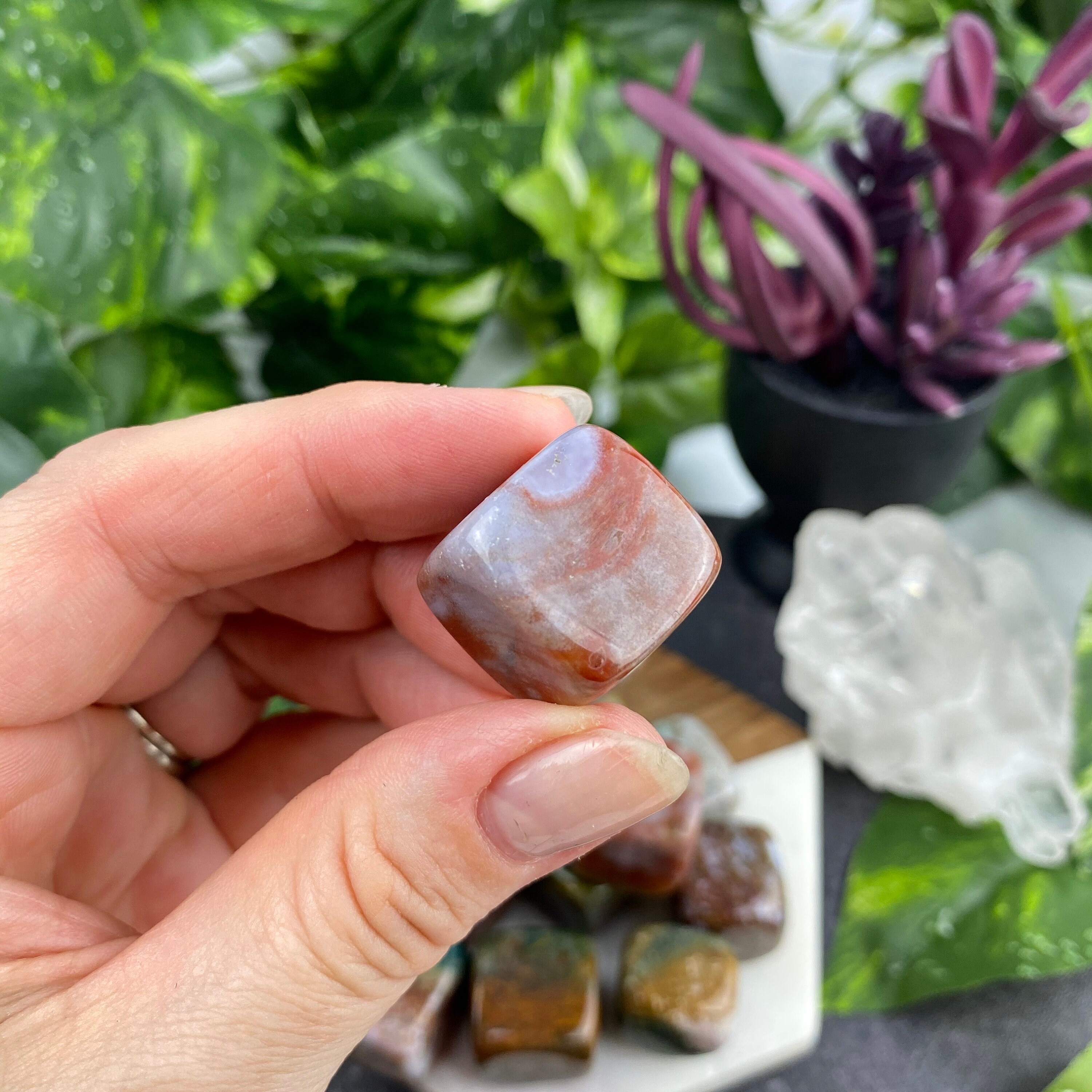 Ocean Jasper Cubes//Genuine Ocean Jasper Crystal//Crystals for Etsy