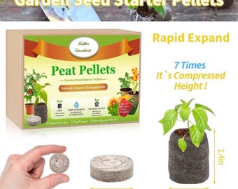 10 Peat pallets, best medium for plants, succulents and flower seeds germination, keeps the moisture and blocks bacteria to grow