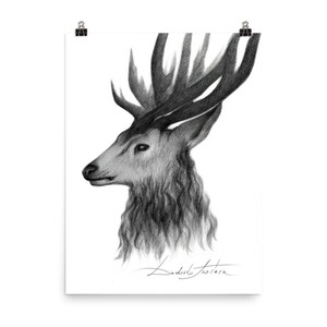 Deer Pencil Art Print, Deer Painting Wall Art Decor, Original Artwork by Artist, art, animal, illustration, home decor, Nursery,Wildlife