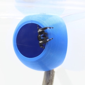 Corner Magnet Jumping Spider Hide **NEW SIZE**