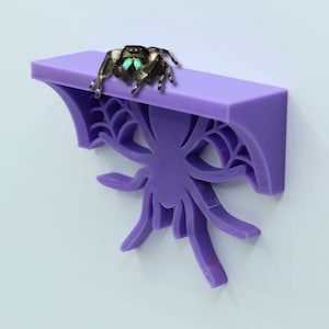 NEW The Original Spooder Web Ledge