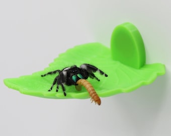 Magnetic Jumping Spider Leaf Feed Ledge