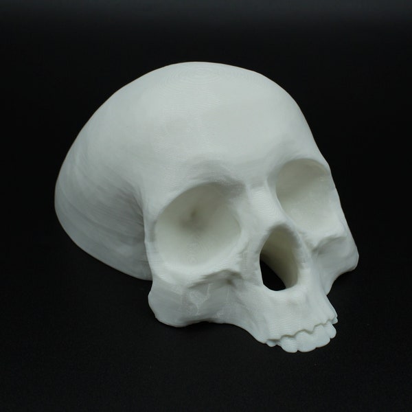 Skull Decor - Etsy