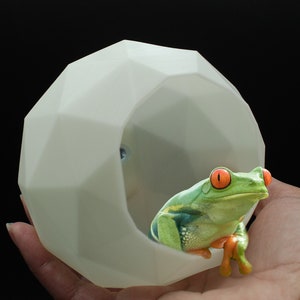 Reptile Amphibian Frog, Gecko Suction Cup Pixel Ball Hide