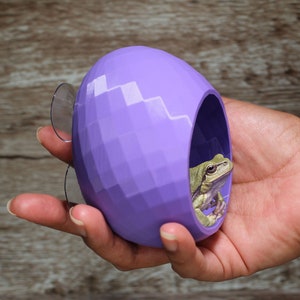 Egg-tastic Hide | Frogs | Reptiles | Crested Geckos | Lizards | Hatchlings | Betta Fish