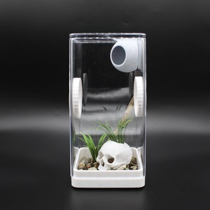 Magnetic Acrylic Case Horizontal Acrylic Enclosure Tarantula - Temu