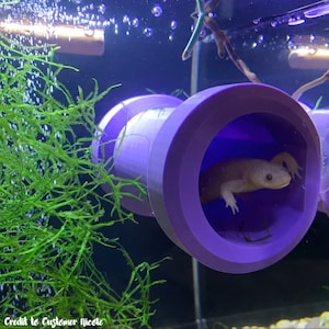 Tube Tunnel Suction Cup Hide
