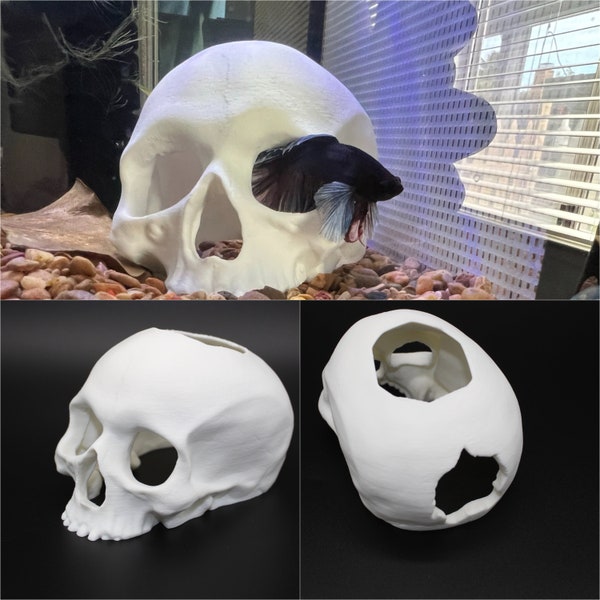 Betta Fish Skull Hide *New Sizes Available*