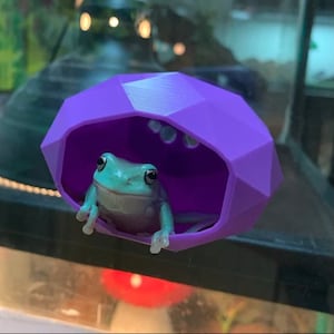 Pixel Suction Cup Hide | Reptile Amphibian Frog, Gecko| NEW COLORS