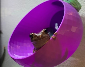 Reptile Amphibian Frog, Snake, Gecko Suction Cup Wall Hide