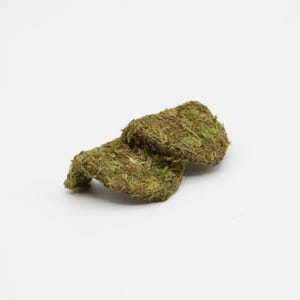 May include: Two pieces of preserved moss, in shades of green and brown, rest on a white background. The moss appears textured and natural, suggesting its use in crafts or decorative arrangements. The pieces are irregularly shaped.