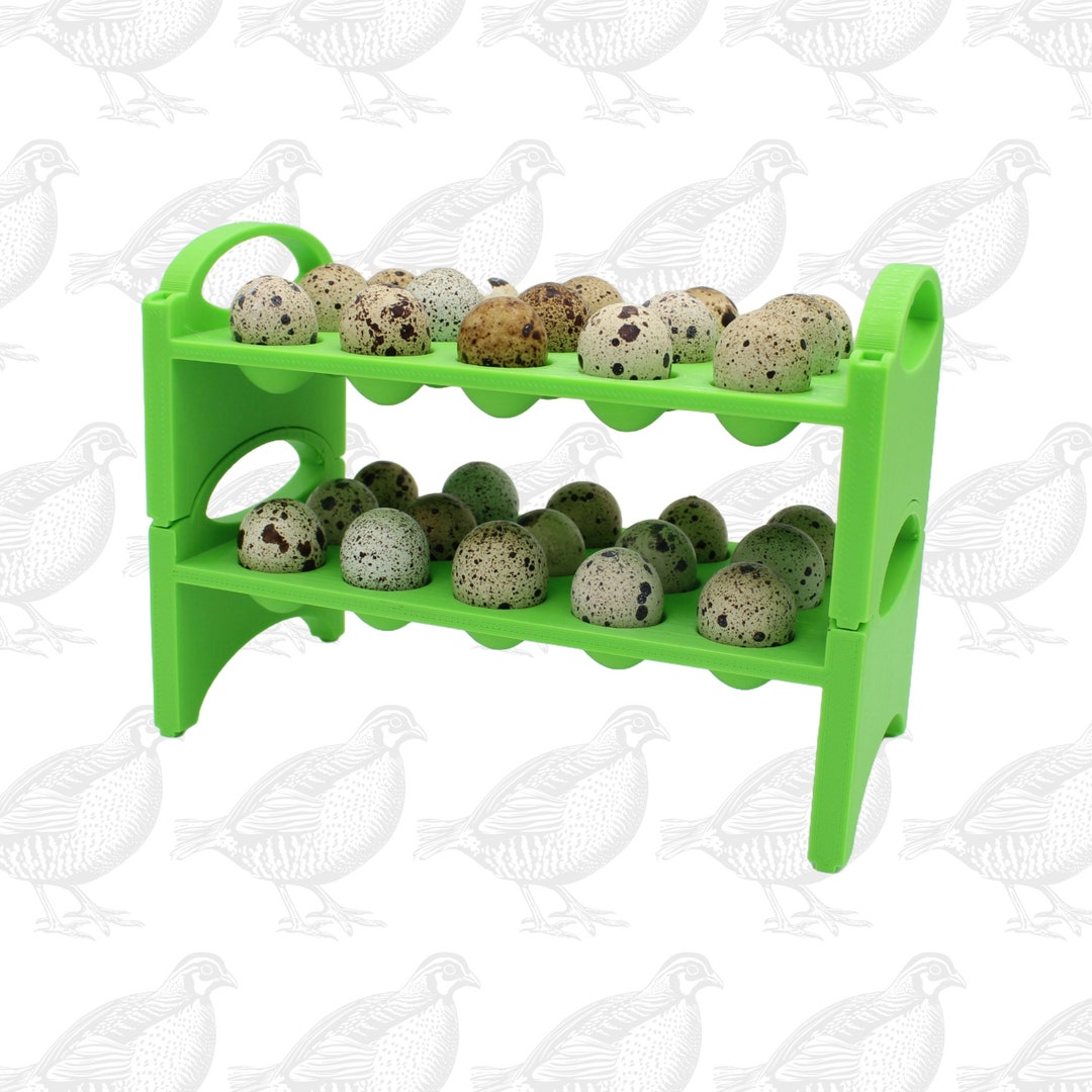Stackable Wooden Quail & Pigeon Egg Holde Countetop