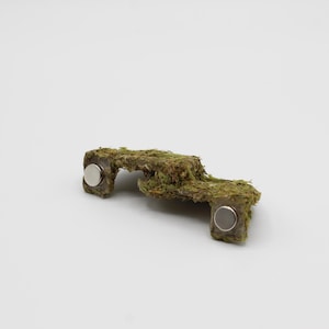 May include: A small, moss-covered decorative object with two silver magnets. The object has an irregular shape and a natural, earthy appearance. The moss is a vibrant green color, contrasting with the silver of the magnets.