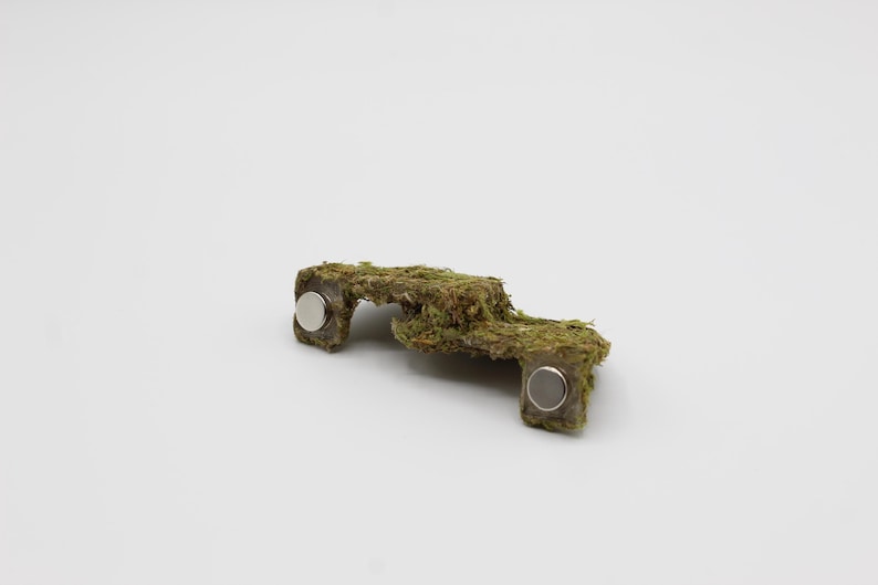 May include: A small, moss-covered decorative object with two silver magnets. The object has an irregular shape and a natural, earthy appearance. The moss is a vibrant green color, contrasting with the silver of the magnets.