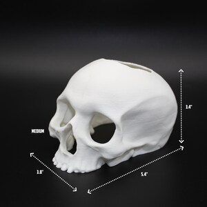 Może przedstawiać: Biała plastikowa doniczka w kształcie czaszki, szerokość 9,7 cm, długość 13,7 cm i wysokość 8,6 cm.  MEDIUM jest napisane na doniczce.