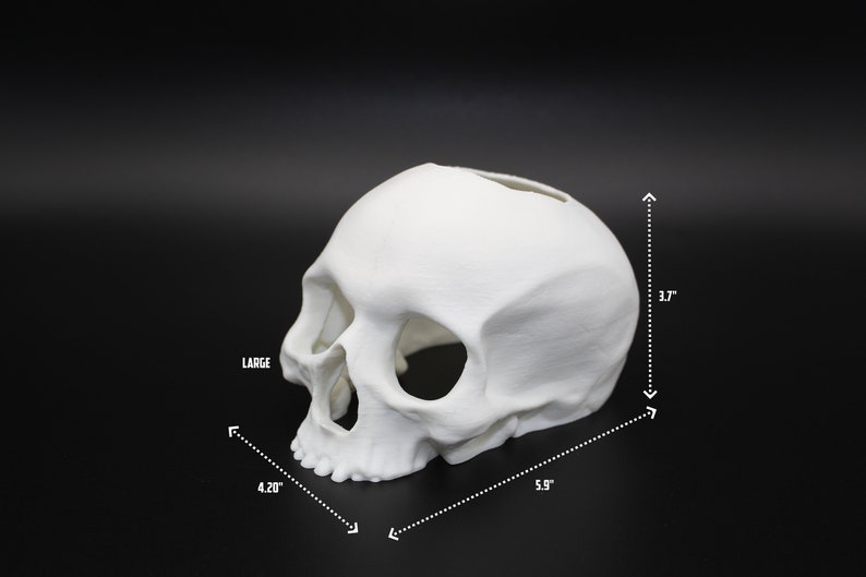 Może przedstawiać: Biała plastikowa doniczka w kształcie czaszki, szerokość 15 cm, długość 10,7 cm, wysokość 9,4 cm. Na doniczce napis LARGE.