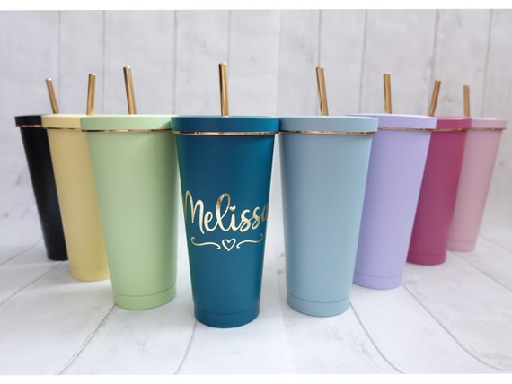 Set of 6 Stainless Steel Cups With Lids and Straws 16oz/500ml Kids Cups  Drinking