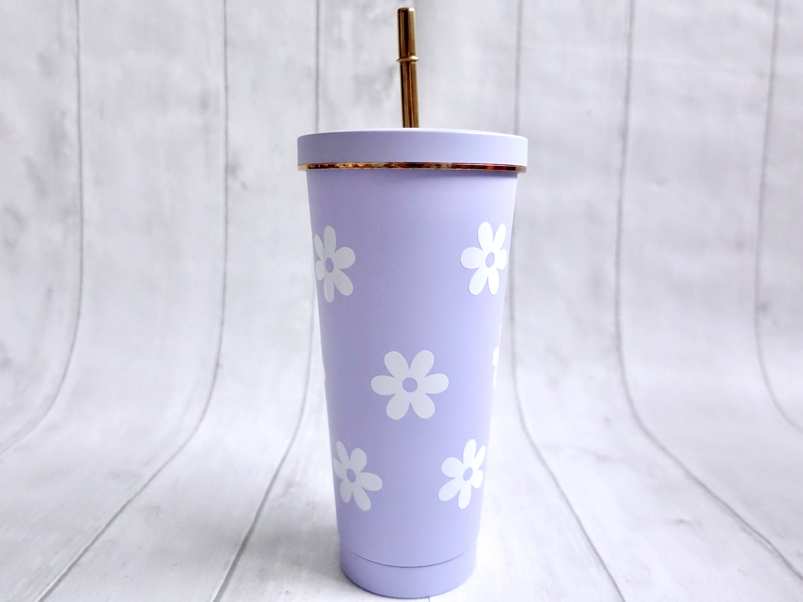 Cheer.US 470ml Tumbler Insulated Tumblers with Lids and Straw