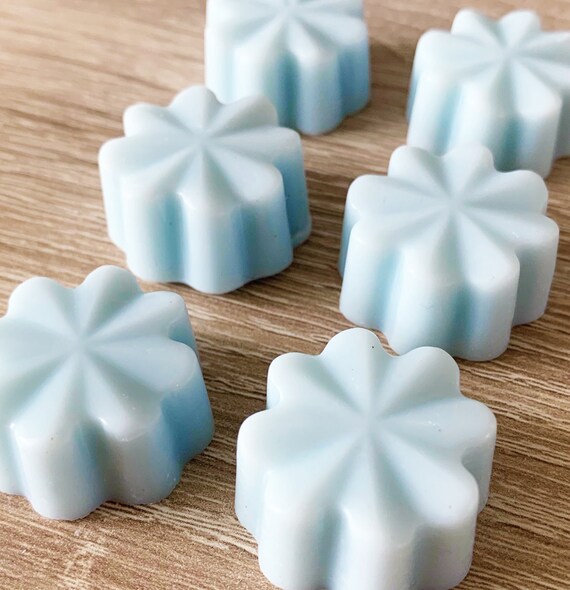 Soy Wax Melts FRESH UNSTOPPABLE Inspired Organic Vegan Single Melts and  Clamshell Fabric Softener 