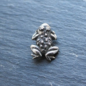 Op de afbeelding: Een zilveren kikkerbedel met een getextureerd oppervlak en uitpuilende ogen. De kikker zit op een grijze achtergrond.