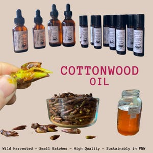 Roller - Cottonwood Bud Oil - Balm of Gilead