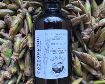 Cottonwood Bud Oil Bottle - 1 or 2 oz  – Handcrafted Botanical Oil – Wildcrafted Herbs – Small Batch