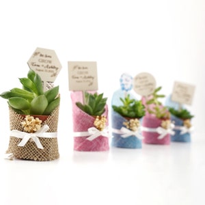 Succulent Gift, Succulent Bridal Shower,Personalized Mini Pot for Succulent Wedding favors , Wedding Favors, Wedding Favors for Guests image 9