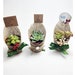 see more listings in the Wedding Favor Succulent section
