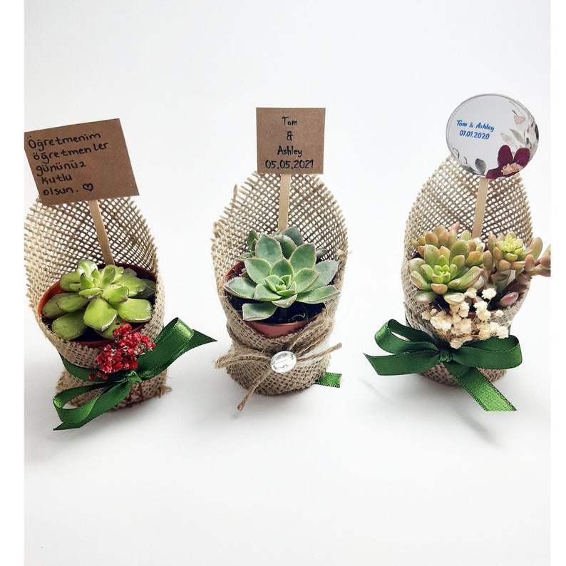 Succulent Gift, Succulent Bridal Shower,Personalized Mini Pot for Succulent Wedding favors , Wedding Favors, Wedding Favors for Guests image 2