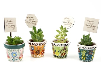 Wedding Succulent Favors in Bulk, Custom Wedding favors, Wedding Favors, Wedding Favors Boxes, Wedding Favors, Bridal Shower Gifts