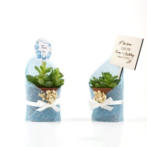 Succulent Gift, Live Succulent Favors for Guest, Succulent Pots for Wedding, Succulent Planter, Baby Shower Succulent Gift, Briadmaid Favors image 3