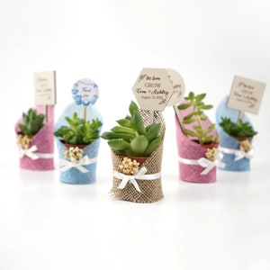 Succulent Gift, Succulent Bridal Shower,Personalized Mini Pot for Succulent Wedding favors , Wedding Favors, Wedding Favors for Guests image 4